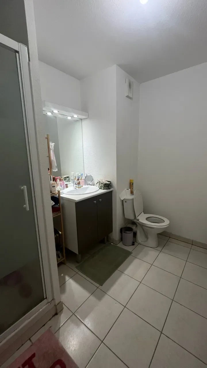 Colocation saint georges 69m2 — image 6 sur 7
