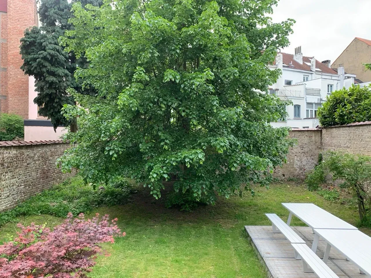 Super lumineuse chambre -vue sur jardin- à reprendre a cote du square  Ambiorix 🏰🌿 — image 8 sur 8