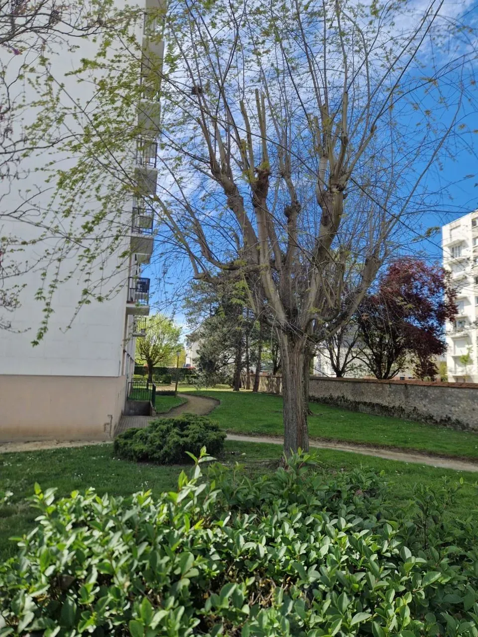 Chambre dans colocation calme dans un cadre agréable a deux pas du Jardin botanique a la Riche — image 8 sur 9