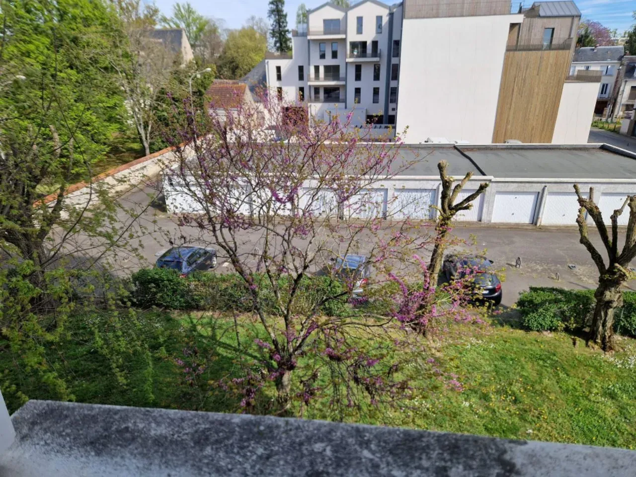 Chambre dans colocation calme dans un cadre agréable a deux pas du Jardin botanique a la Riche — image 9 sur 9