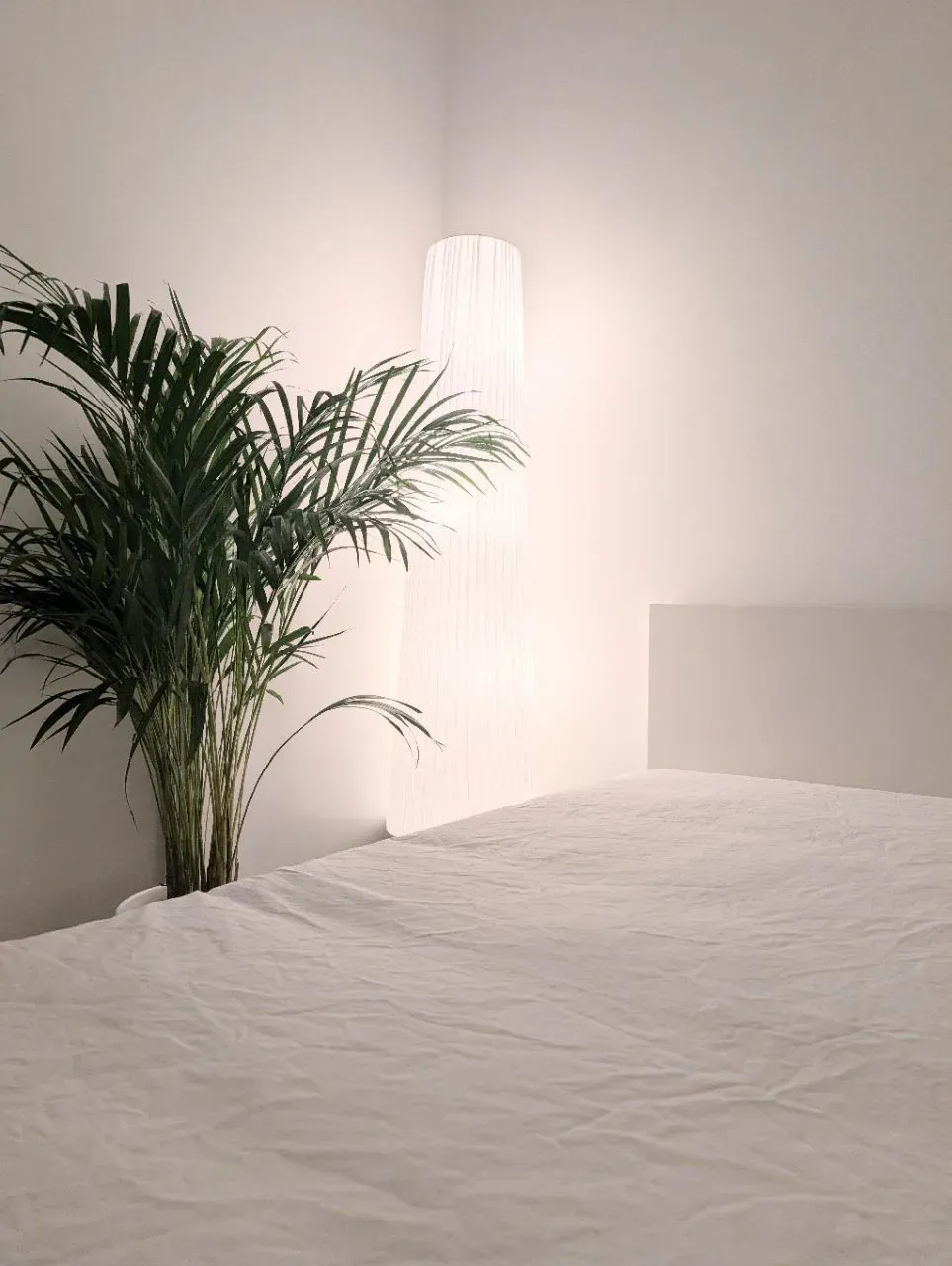 Chambre Standing - Ile de Nantes  — image 2 sur 7