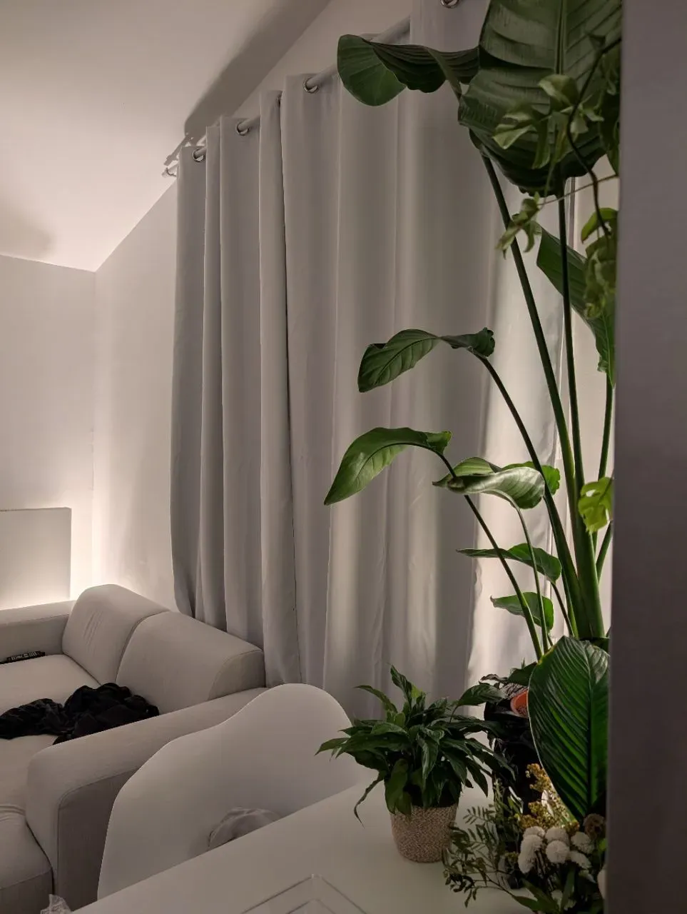 Chambre Standing - Ile de Nantes  — image 4 sur 7