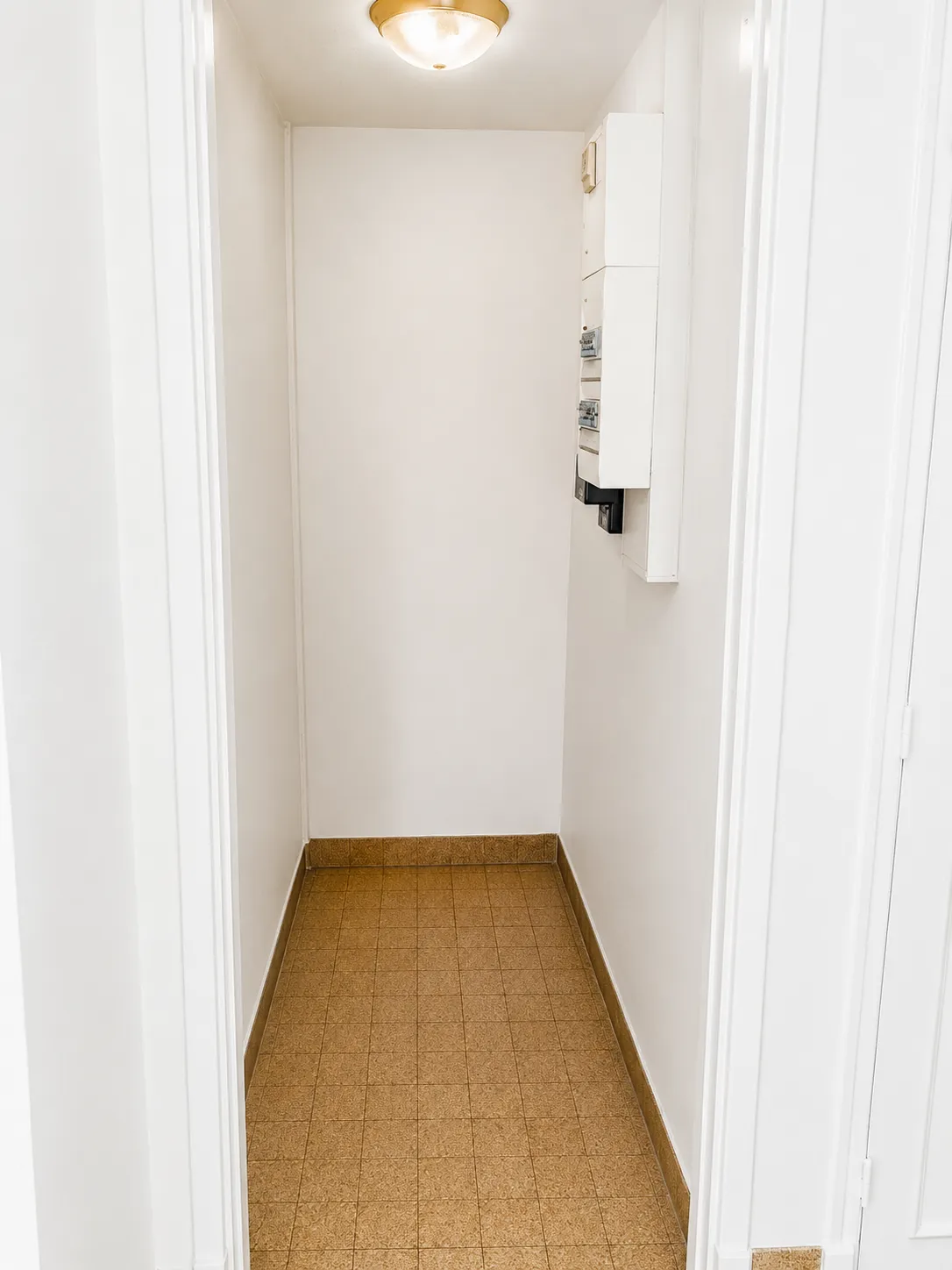 Colocation dans une belle maison avec jardin — image 5 sur 8