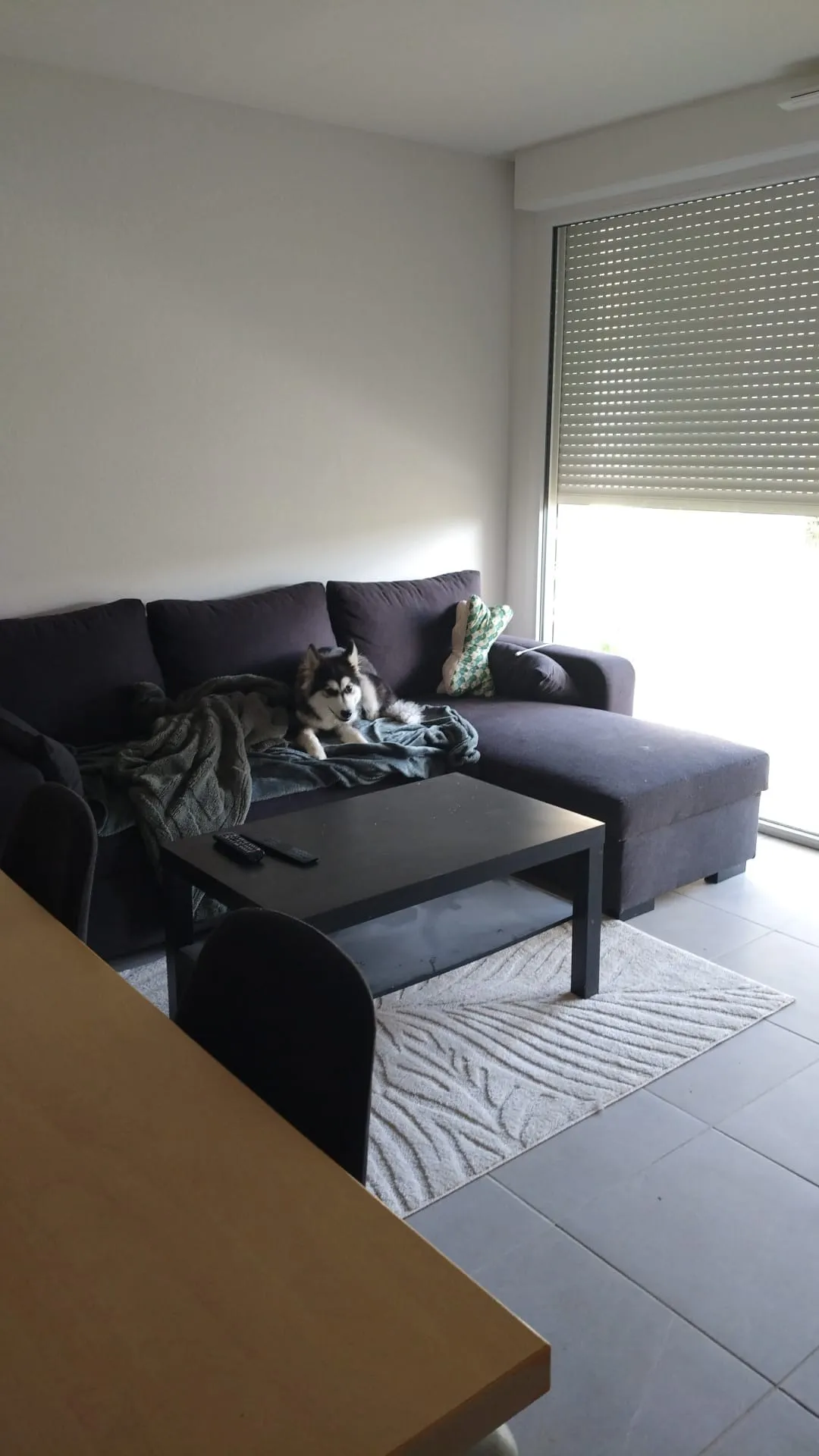Appartement RDC 70m² avec petit jardin, chambre de 12m² disponible. — image 14 sur 14