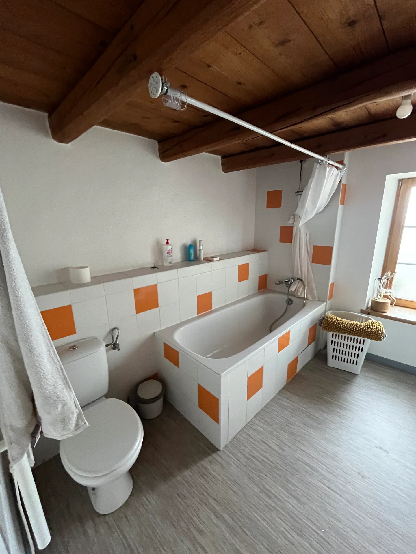 Recherche d’un/une colocataire situé entre Annecy et Genève  — image 10 sur 14