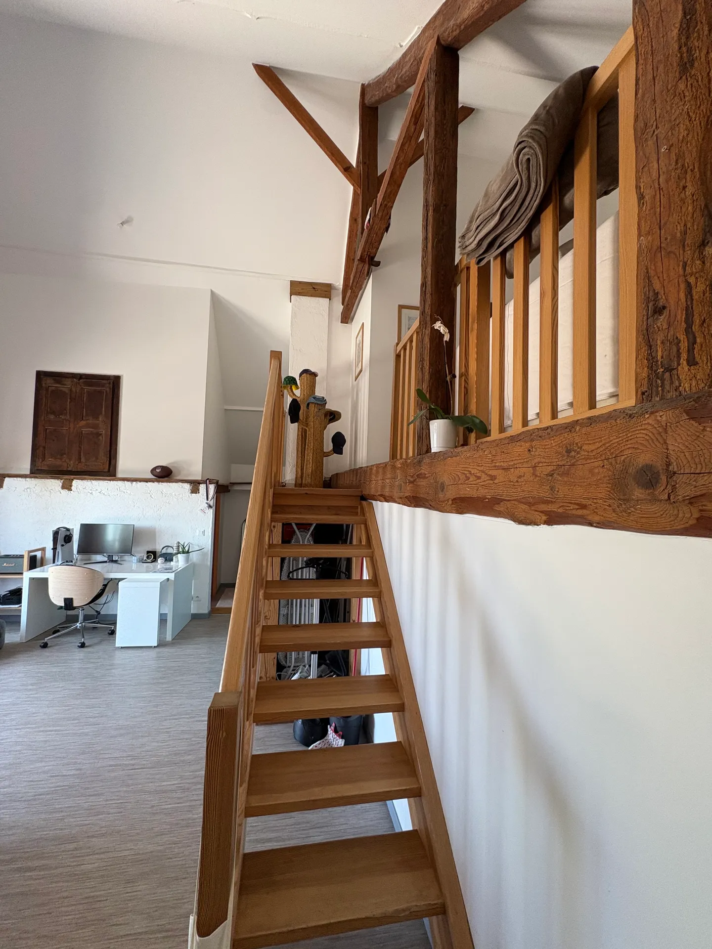 Recherche d’un/une colocataire situé entre Annecy et Genève  — image 4 sur 14