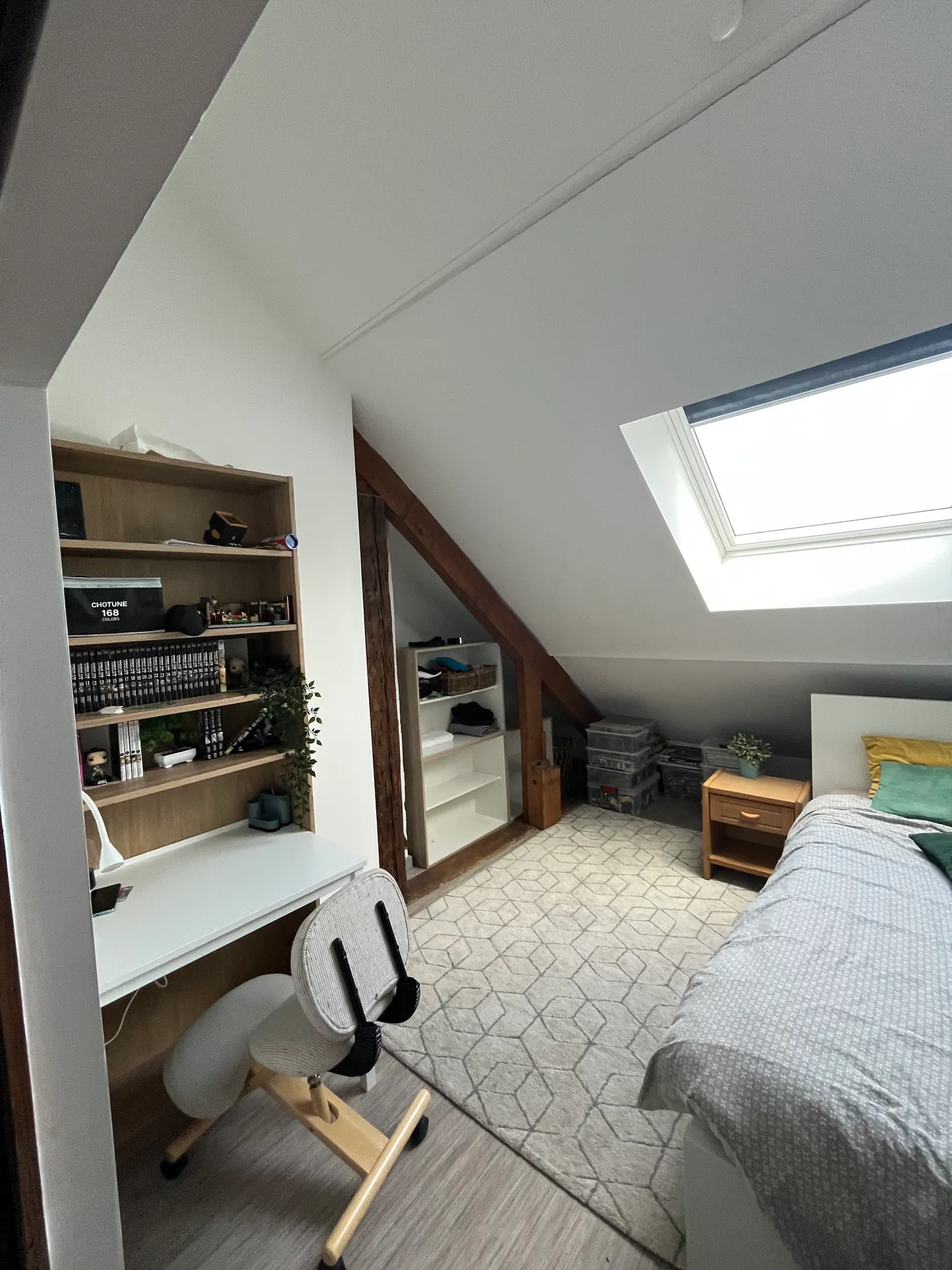 Recherche d’un/une colocataire situé entre Annecy et Genève  — image 8 sur 14