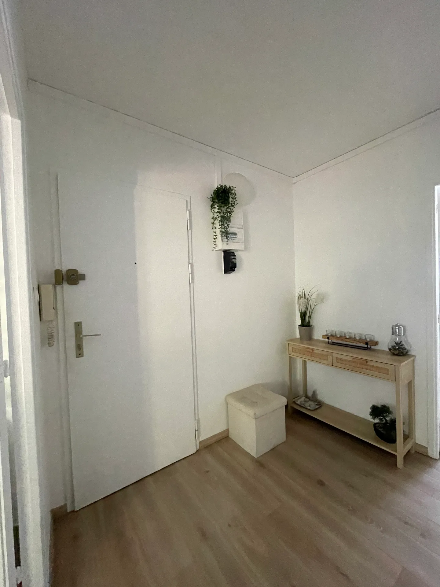 Colocation Toulouse – Quartier Bonnefoy - Roseraie - Gramont  — image 5 sur 10