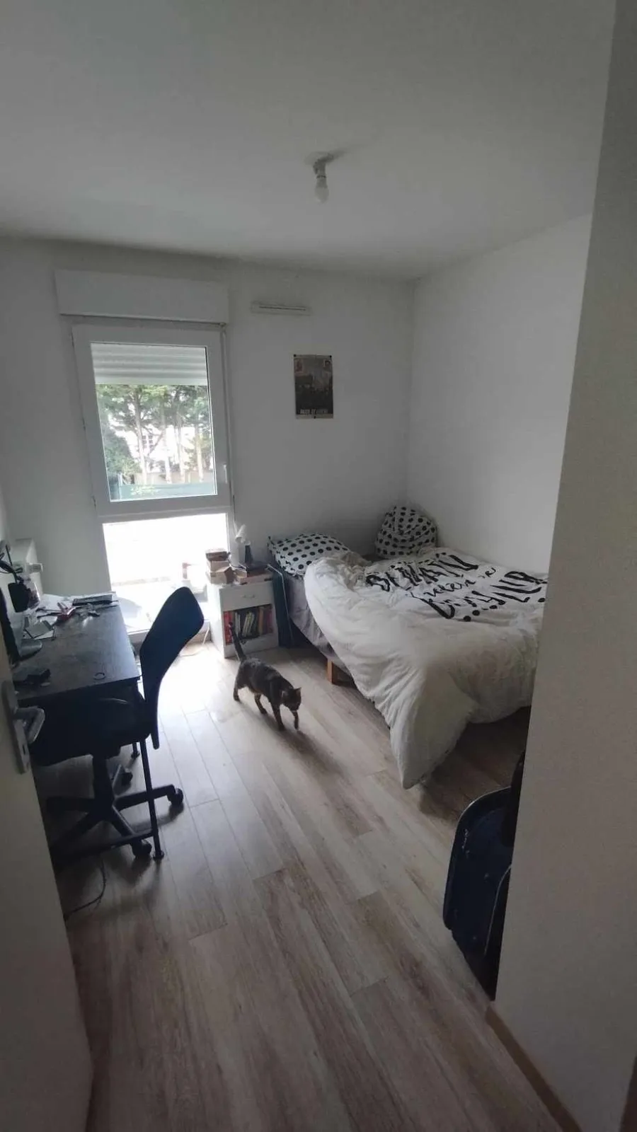 Colocation dans un T3 de 62m2 à cesson-sevigne  — image 2 sur 4