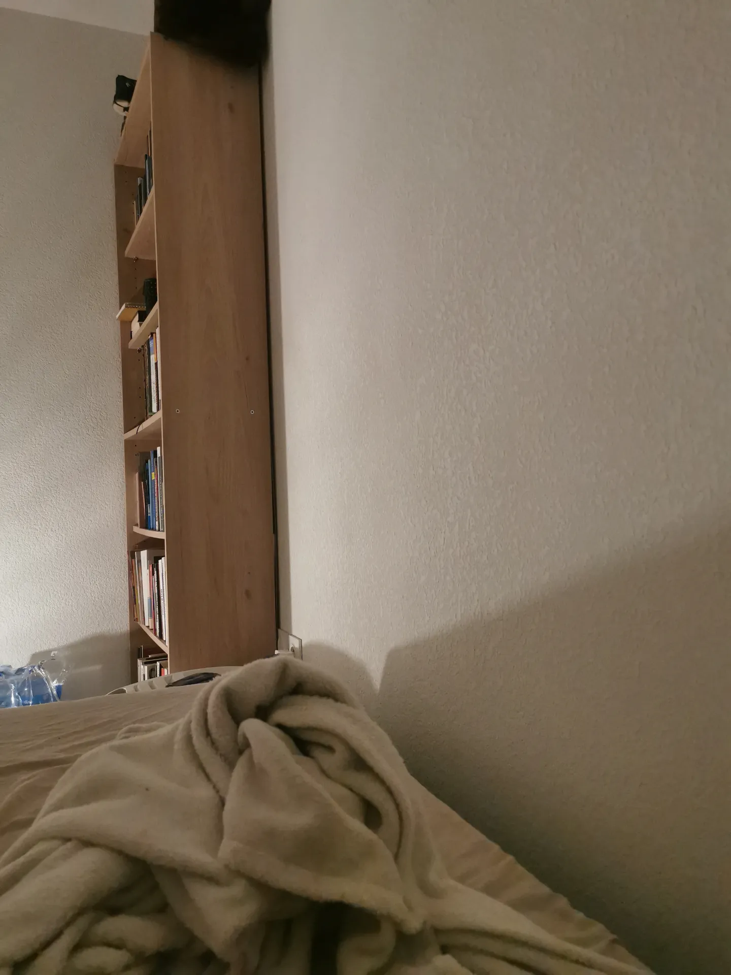 Coucou tout le monde  — image 3 of 3