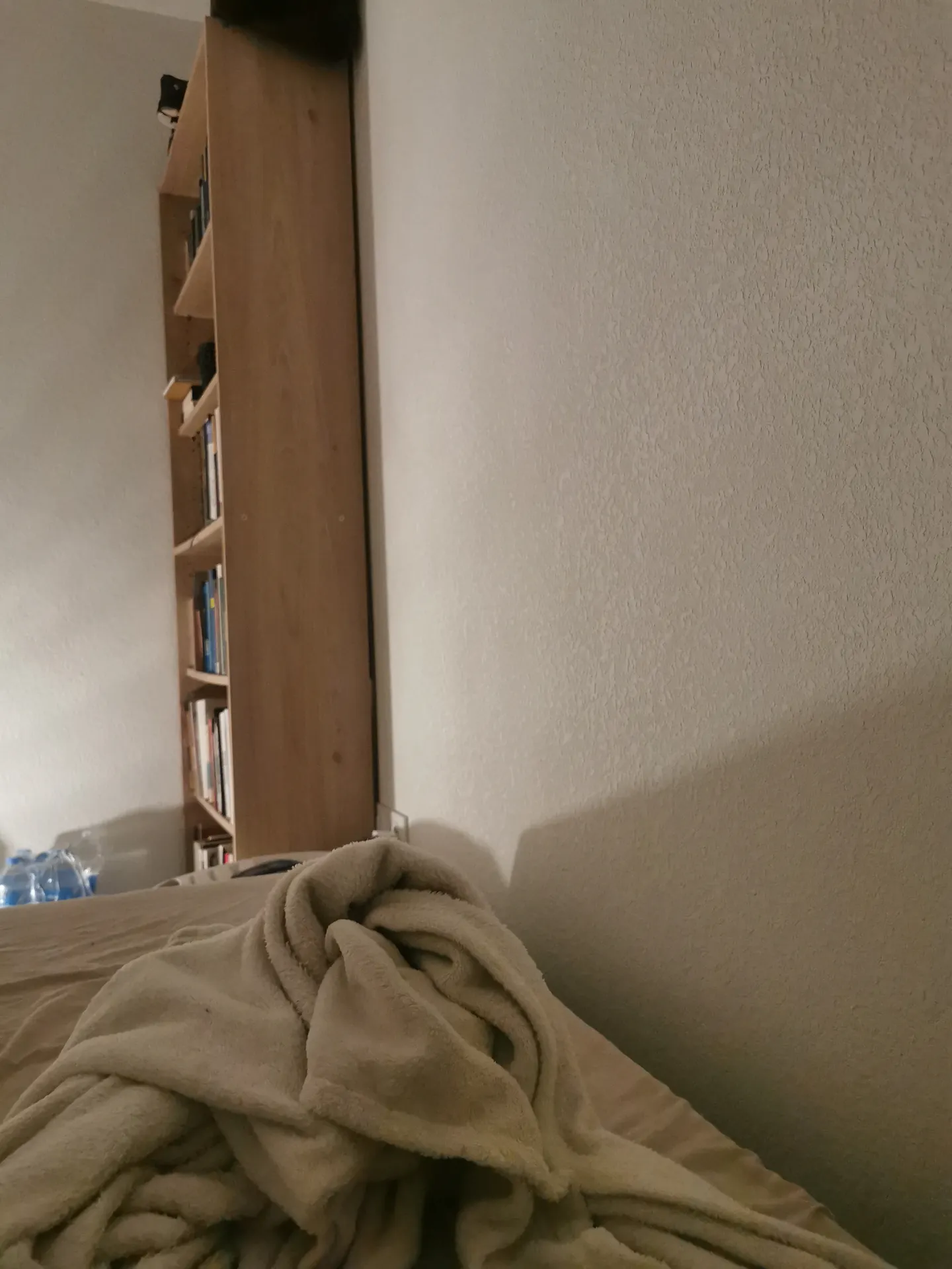 Coucou tout le monde  — image 2 of 3