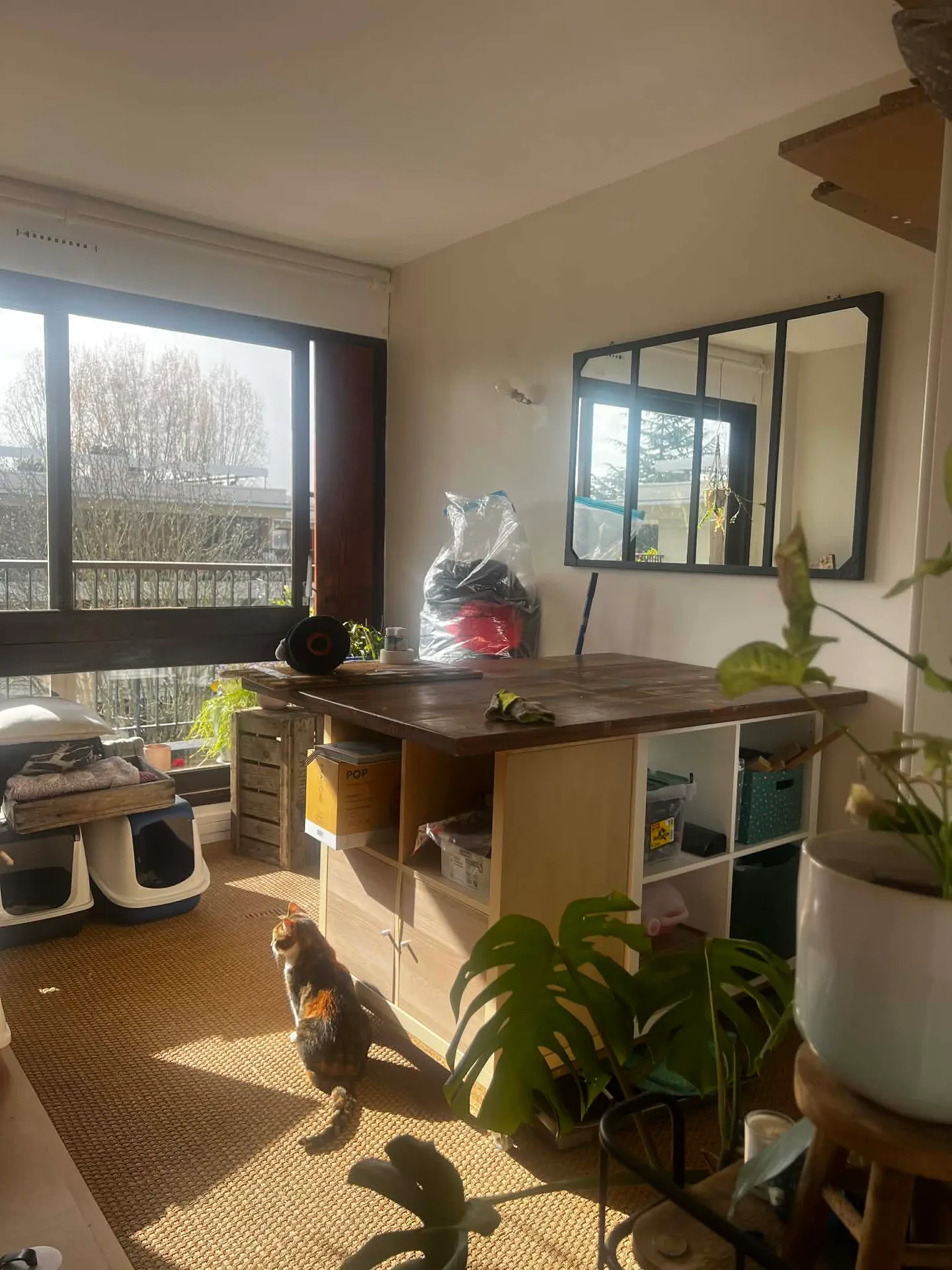 Colocation au Chesnay  — image 3 sur 12