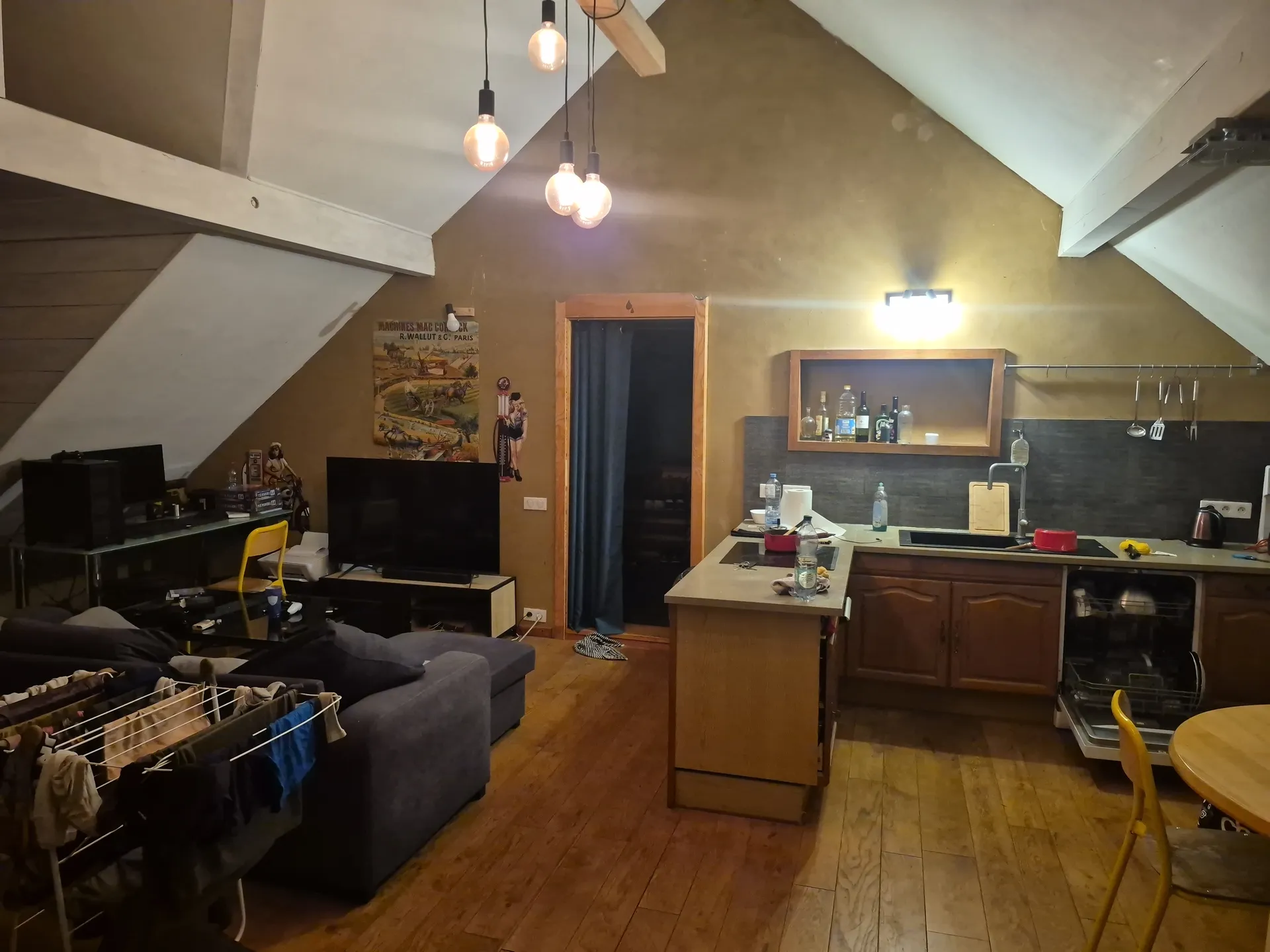 Je cherche un ou une coloc pour garder se magnifique appartement  pas chere et bien placé  — image 2 sur 3