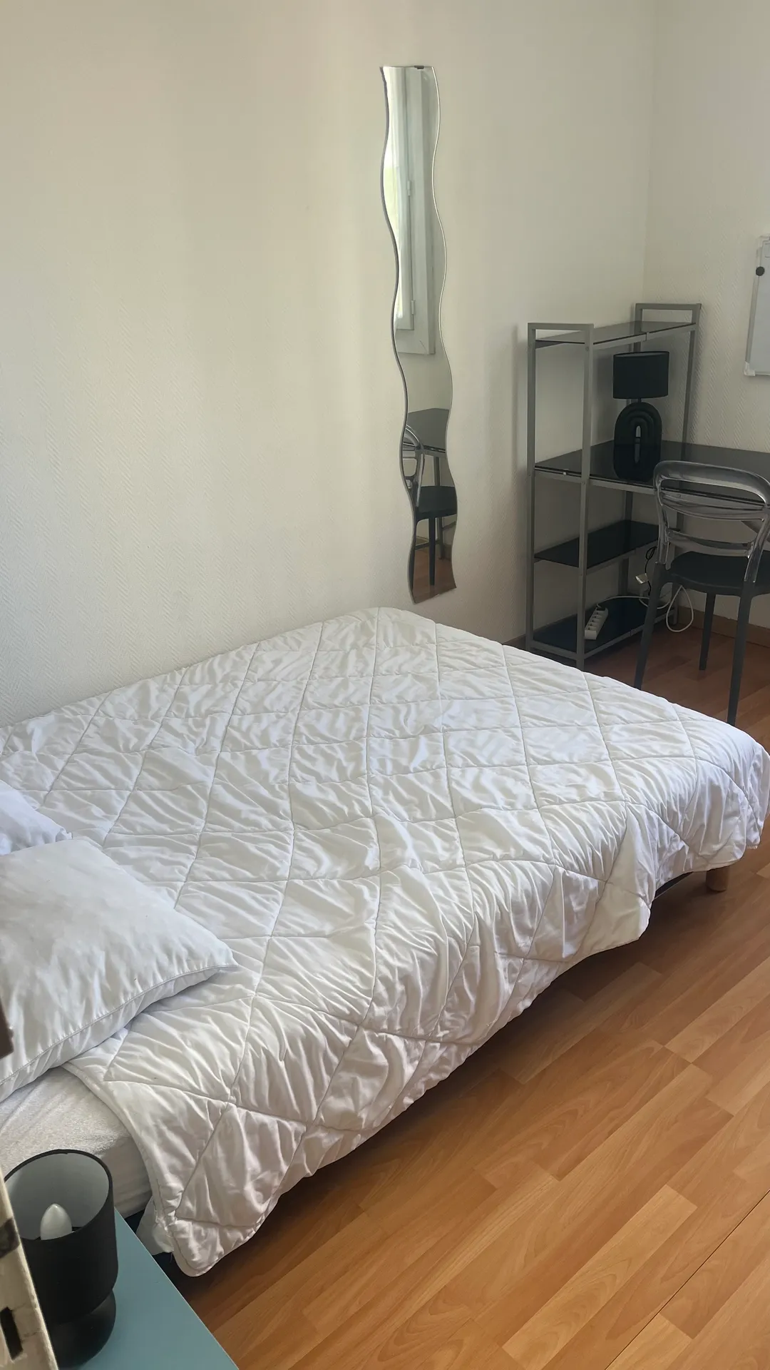 2 chambres libres dans une colocation de 4 personnes dans 94 m2 , à Bellevue au 3 eme étage  — image 13 of 15