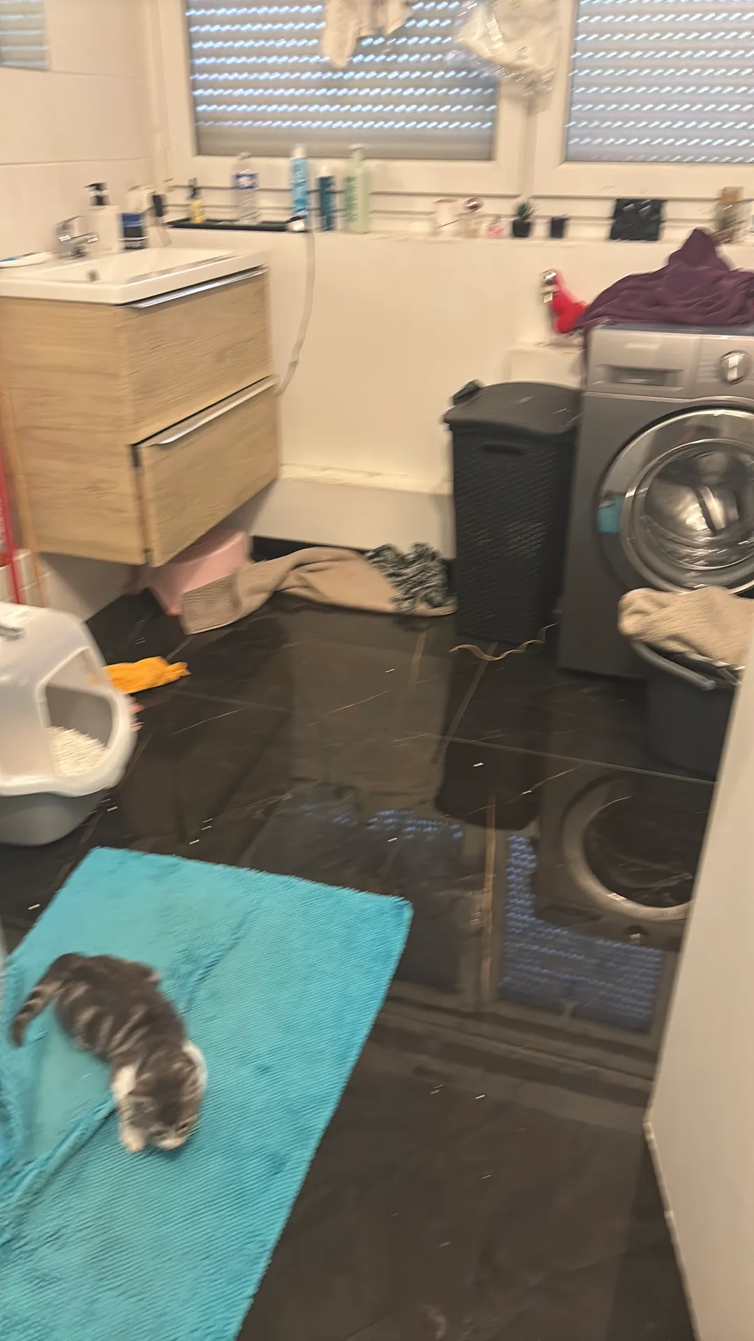 Je propose une colocation agréable et spacieuse avec 3 chambres, idéale pour une vie en communauté. — image 7 of 7