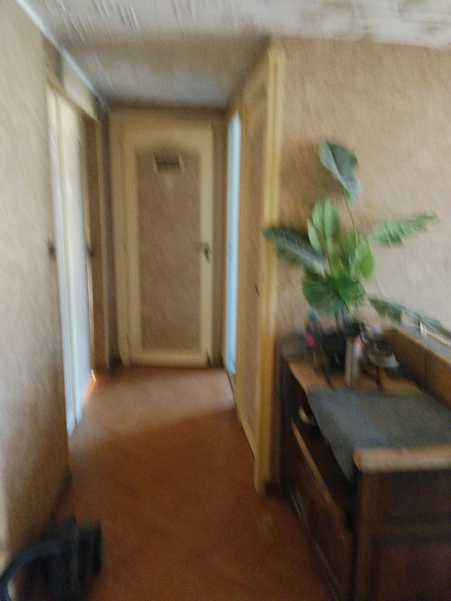Collocation maison Gradignan  — image 7 sur 11